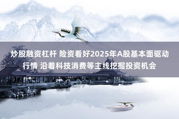 炒股融资杠杆 险资看好2025年A股基本面驱动行情 沿着科技消费等主线挖掘投资机会