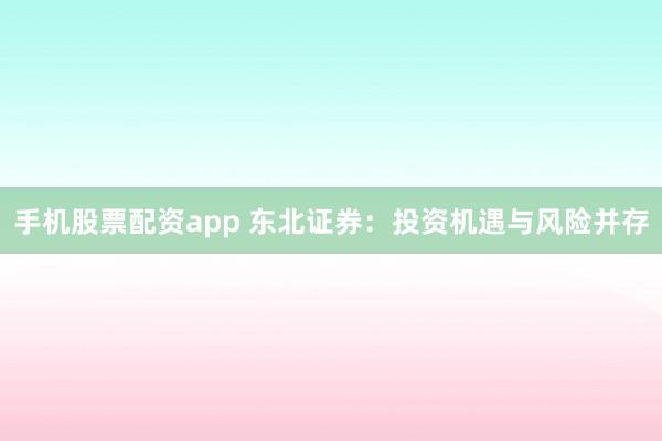 手机股票配资app 东北证券：投资机遇与风险并存