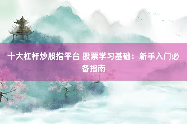 十大杠杆炒股指平台 股票学习基础：新手入门必备指南