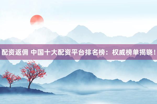 配资返佣 中国十大配资平台排名榜：权威榜单揭晓！
