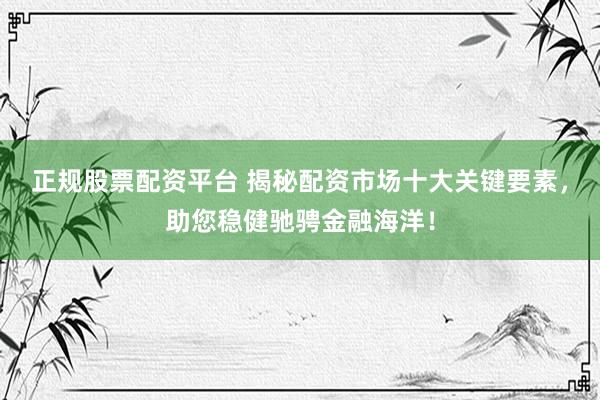 正规股票配资平台 揭秘配资市场十大关键要素，助您稳健驰骋金融海洋！