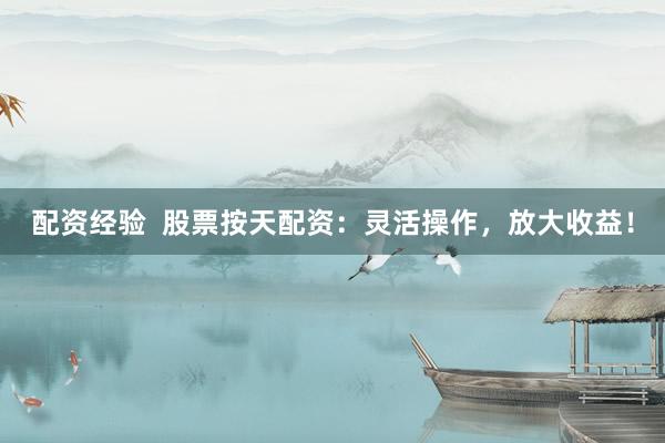 配资经验  股票按天配资：灵活操作，放大收益！