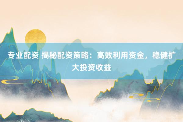 专业配资 揭秘配资策略：高效利用资金，稳健扩大投资收益
