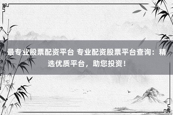 最专业股票配资平台 专业配资股票平台查询:精选优质平台,助您投资!