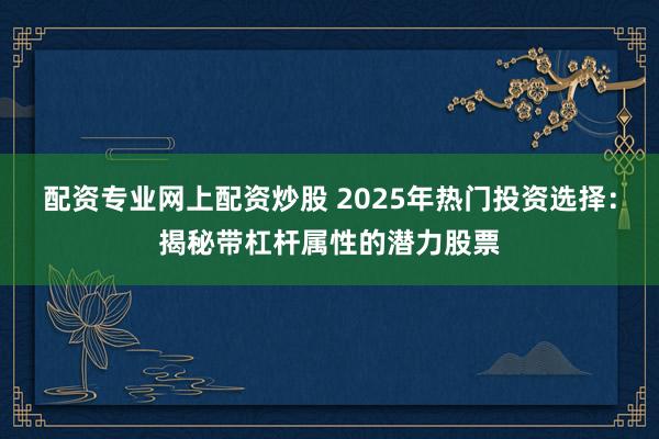 配资专业网上配资炒股 2025年热门投资选择：揭秘带杠杆属性的潜力股票