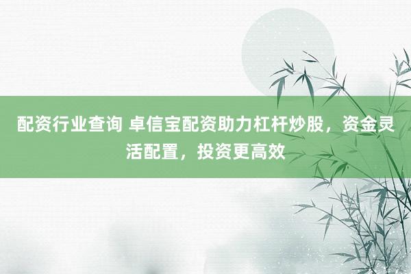 配资行业查询 卓信宝配资助力杠杆炒股，资金灵活配置，投资更高效