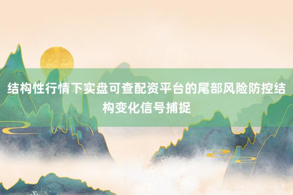 结构性行情下实盘可查配资平台的尾部风险防控结构变化信号捕捉