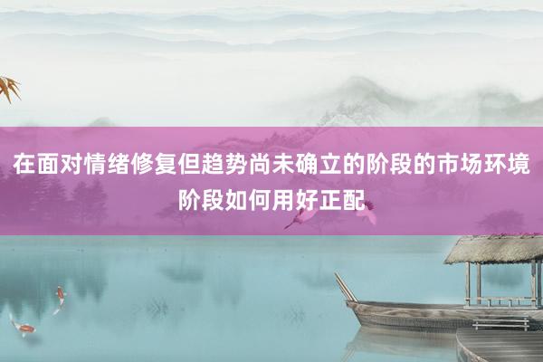 在面对情绪修复但趋势尚未确立的阶段的市场环境阶段如何用好正配