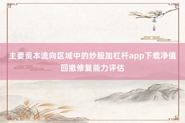 主要资本流向区域中的炒股加杠杆app下载净值回撤修复能力评估