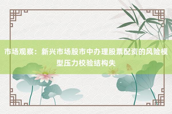 市场观察：新兴市场股市中办理股票配资的风险模型压力校验结构失