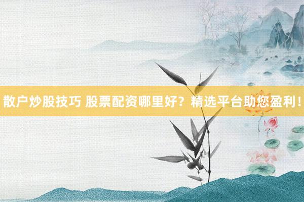 散户炒股技巧 股票配资哪里好?精选平台助您盈利!